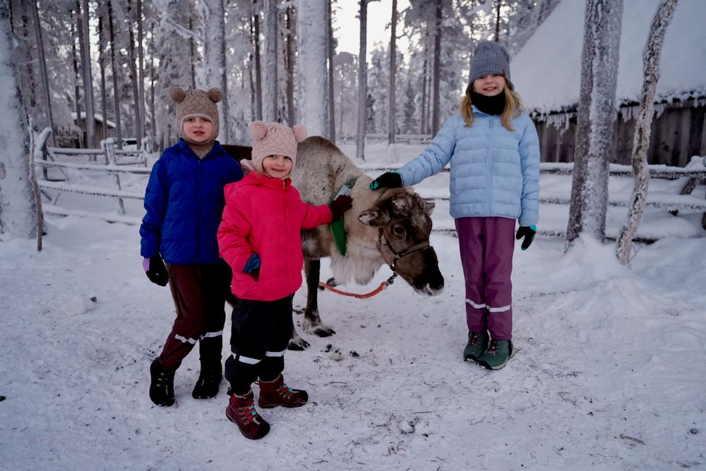 Cora, Harper, and Lily feeding a reindeer up close in Rovaniemi Finland