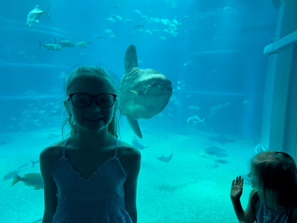 Two girls at the glass of a large aquarium tank at Kaiyukan in Osaka, one posing while a massive sunfish drifts past behind them