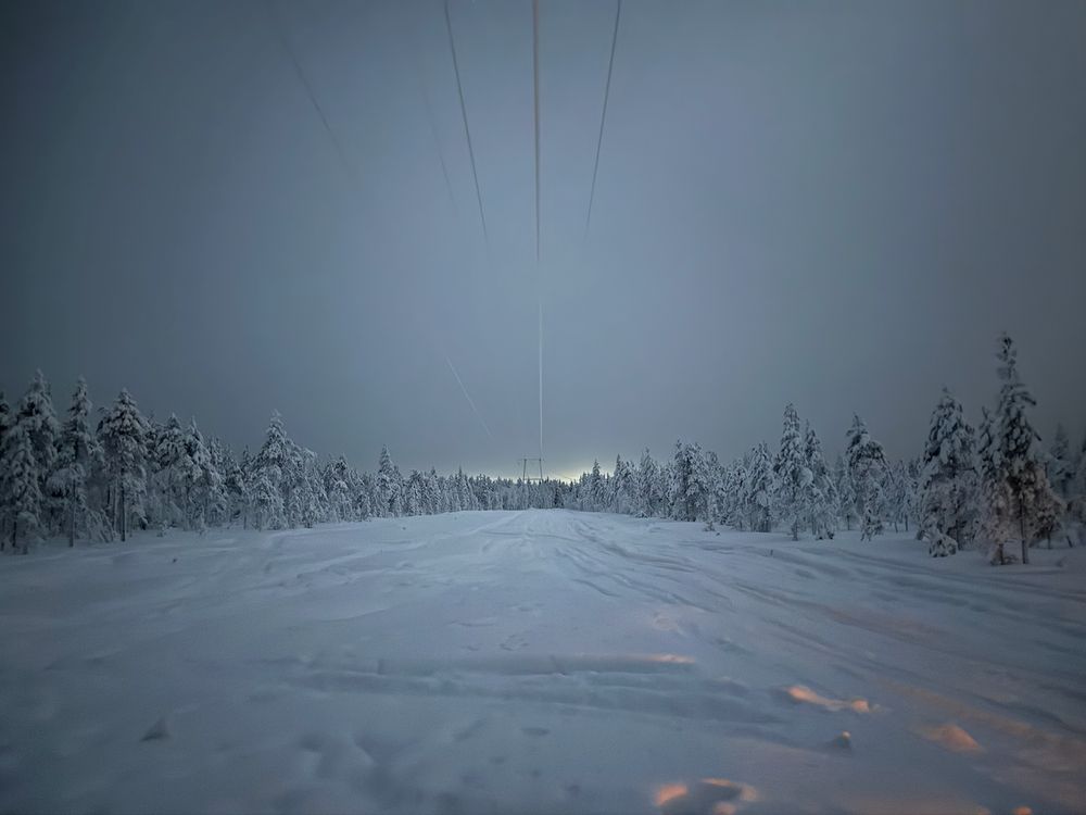 A dark, frozen forest with a power line outside Rovaniemi in January 2026
